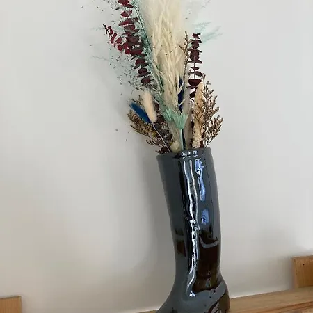 L'arcachonaise - Cosy Avec Jardin A Apartament